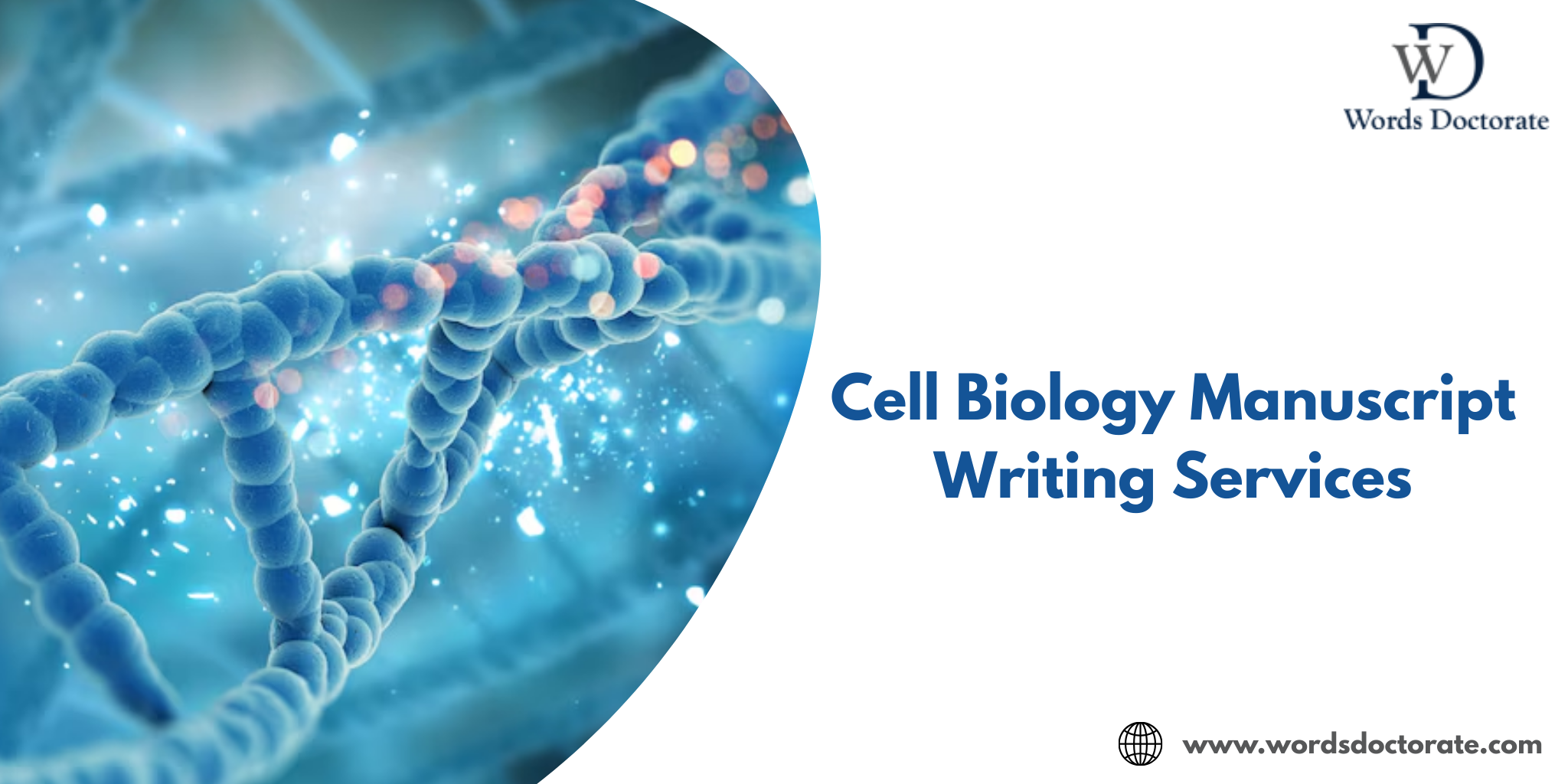 Cell Biology Manuscript Writing Services